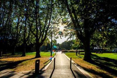 Trees in park against sky