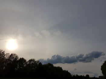 Low angle view of silhouette trees against sky during sunset