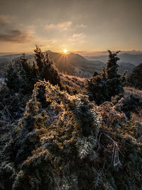 Scenic view of mountain against sky during sunset