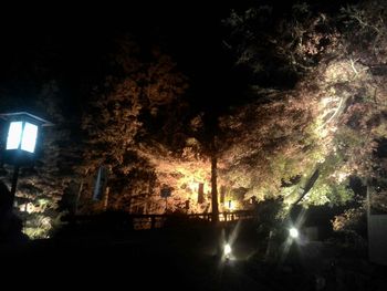 Low angle view of built structure at night