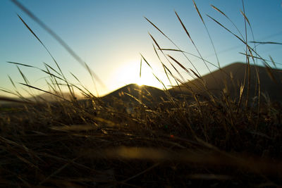 Scenic view of landscape against sky at sunset