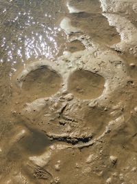 High angle view of footprints on wet sand