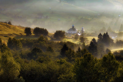 Panoramic view of trees and buildings against sky