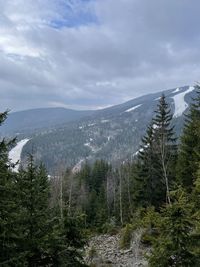 nature