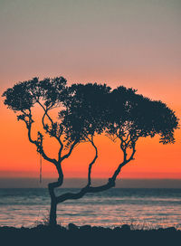 Silhouette tree by sea against sky during sunset