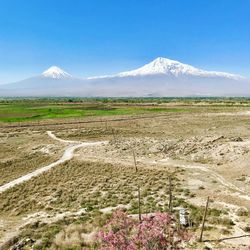 Scenic view of field by mountains against sky