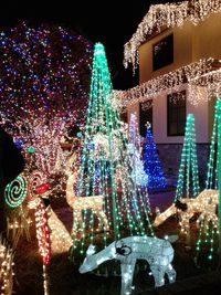 Illuminated christmas tree at night