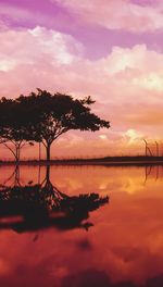 Silhouette trees by lake against sky during sunset