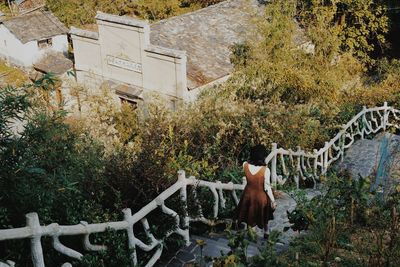 Rear view of woman standing by railing against trees