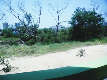 Road by trees against sky