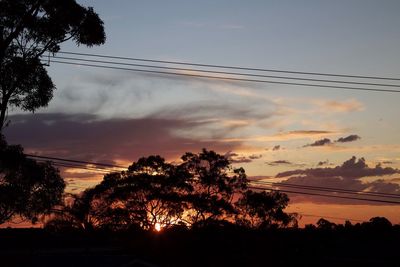 Silhouette of trees at sunset