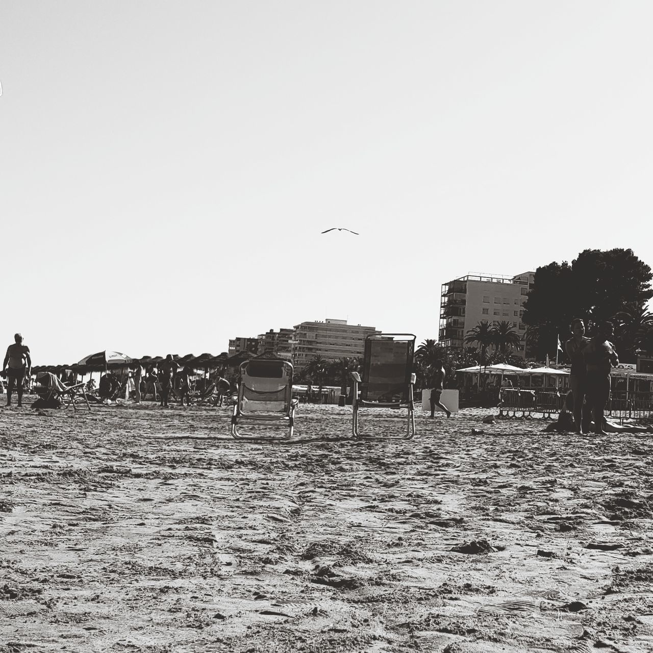 PEOPLE ON FIELD AGAINST SKY