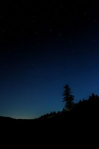 Low angle view of silhouette trees against sky at night