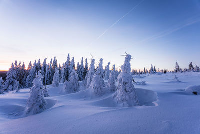 Snow covered field against sky