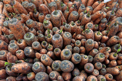 Full frame shot of blueberries