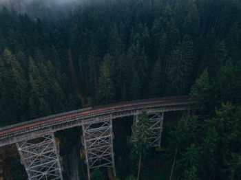 Bridge in forest against sky