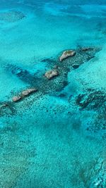 High angle view of swimming in sea