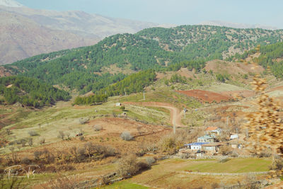 Scenic view of landscape and mountains against sky