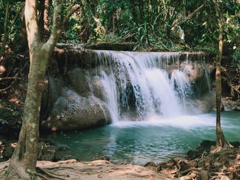 Scenic view of waterfall in forest