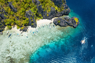 High angle view of coral in sea