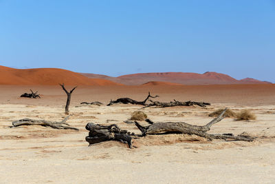 Scenic view of desert against clear sky