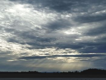Silhouette trees on field against sky at sunset