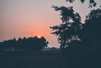 Silhouette trees on field against sky during sunset