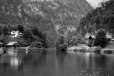 Scenic view of lake by trees