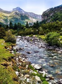 River flowing through rocks