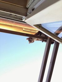 Low angle view of ceiling