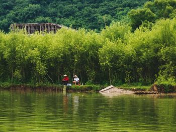 Scenic view of lake by trees