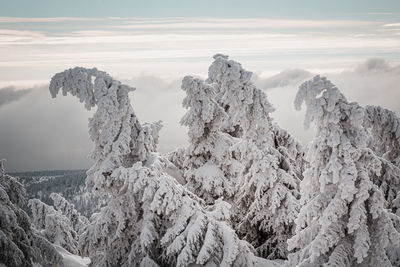 Panoramic view of snowcapped mountains against sky