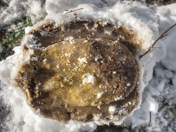 High angle view of ice cream on rock