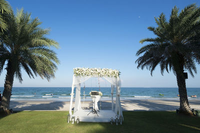 Palm trees on beach against clear sky