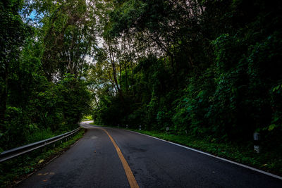 Empty road amidst trees in forest