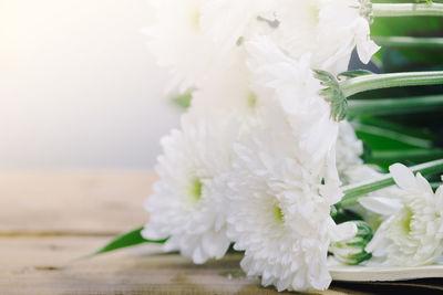 Close-up of white flowering plant on table