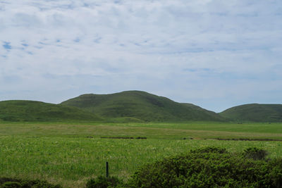 Scenic view of field against sky