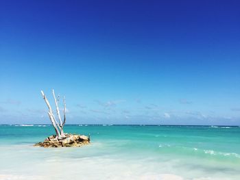 Scenic view of sea against blue sky