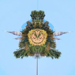 Low angle view of palm tree against clear sky