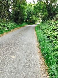 Road amidst trees in forest