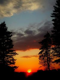 Silhouette of trees at sunset