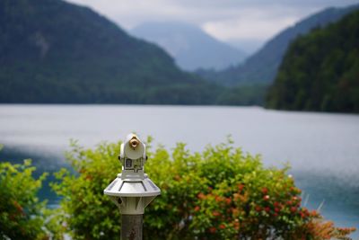 Close-up of plants by lake against mountain