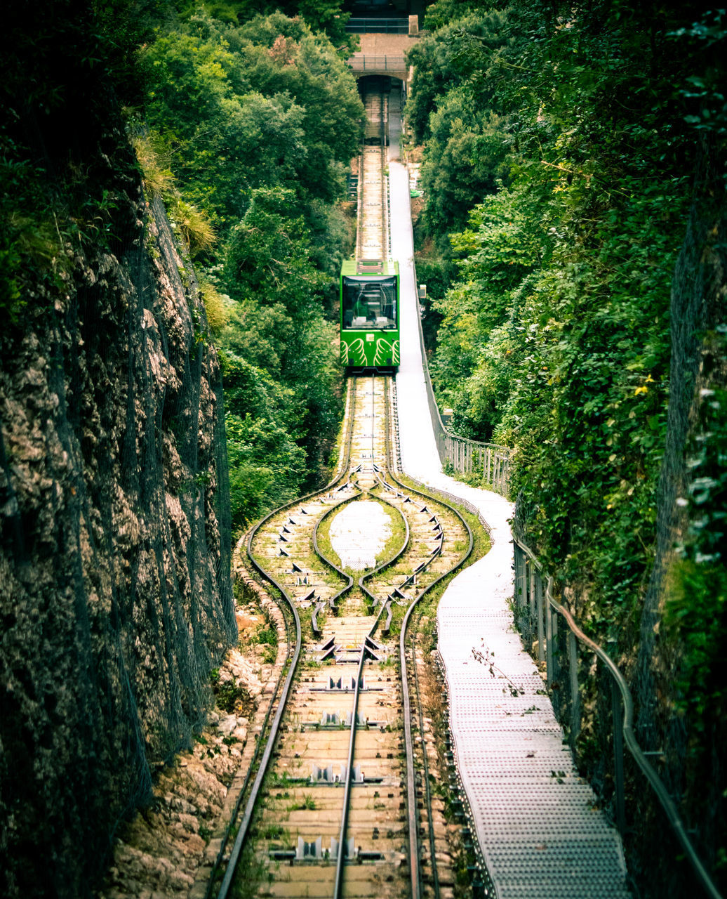 RAILROAD TRACK IN GARDEN