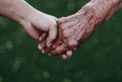 Close-up of hands holding leaf