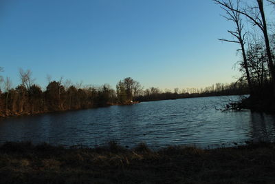 Scenic view of lake in forest against clear sky