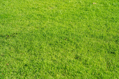 Full frame shot of soccer field