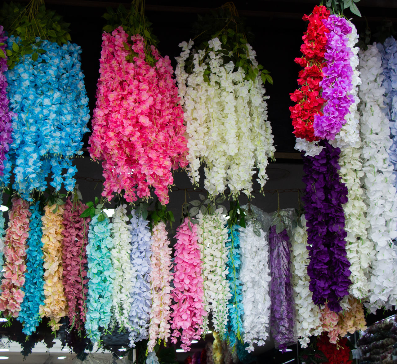 CLOSE-UP OF MULTI COLORED PINK FLOWERING PLANTS IN SHOP