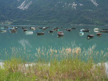 Sailboats in lake