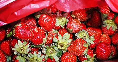 Full frame of strawberries