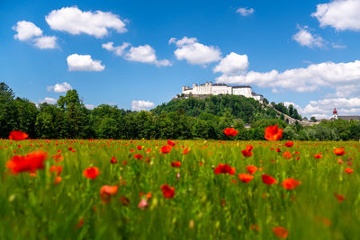 Fortress hohensalzburg in salzburg, austria captured on a picturesque spring day.